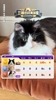 詹俊的猫神了😱!预测6场比赛100%胜率,法国、挪威全对