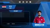 埃及齐库集锦：前场万金油！具备突破能力的射门猎手