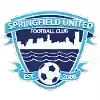 斯普林菲尔德联